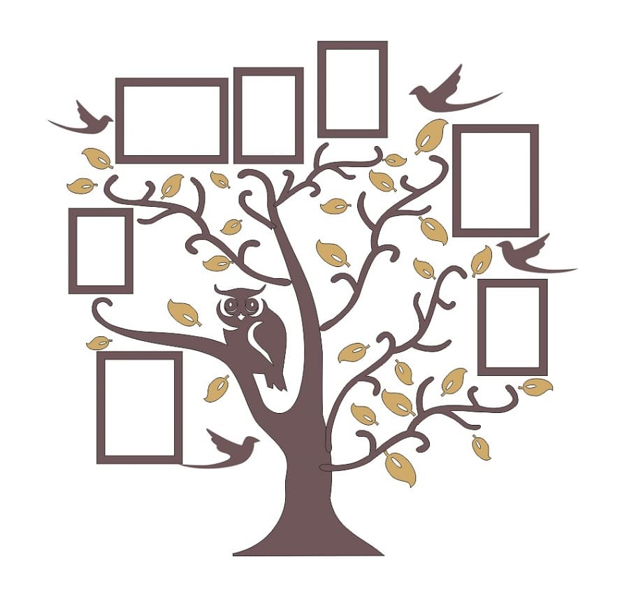 Owl On Tree Branch Family Photo Frame Laser Cut File
