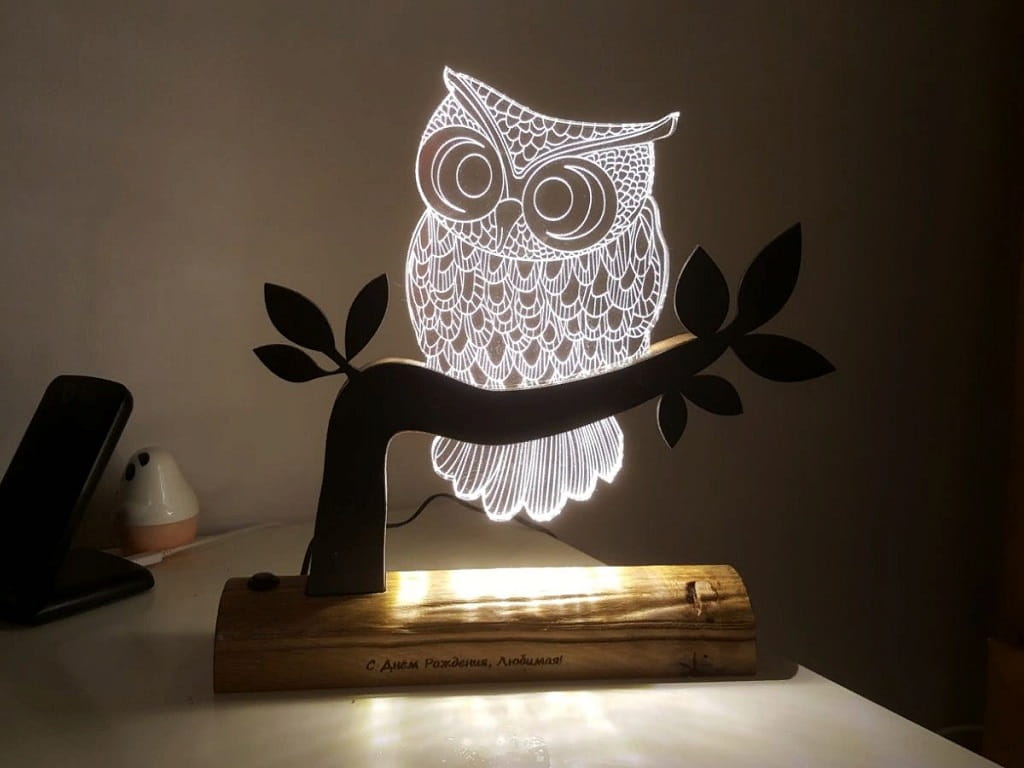 Laser Engraved Owl 3D Illusion LED Lamp