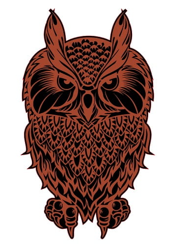 Laser Cut Wooden Owl Wall Decoration