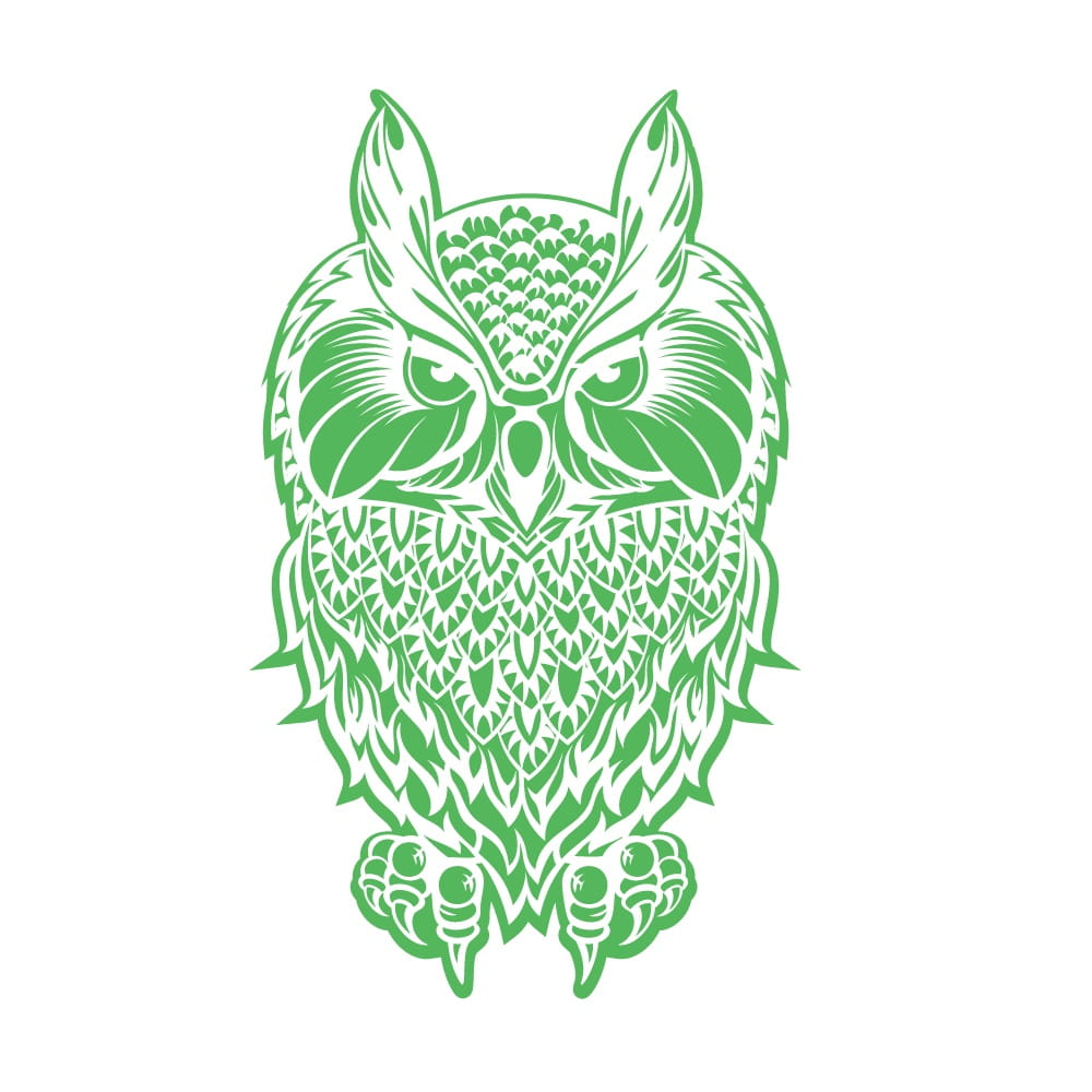 Laser Engraved Owl 3D Optical Illusion LED Lamp