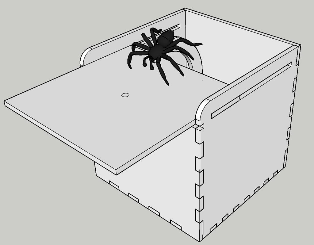 Laser Cut Wooden Spider Scare Prank Box