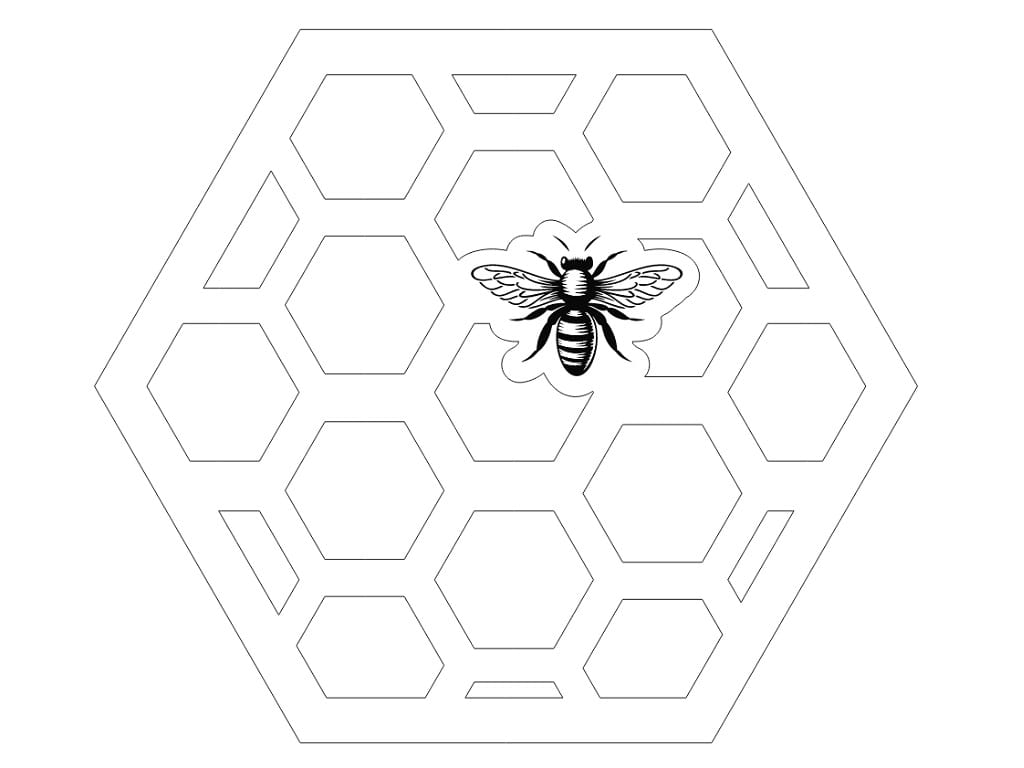 Laser Cut Honeycomb Coasters Hot Pads Trivets