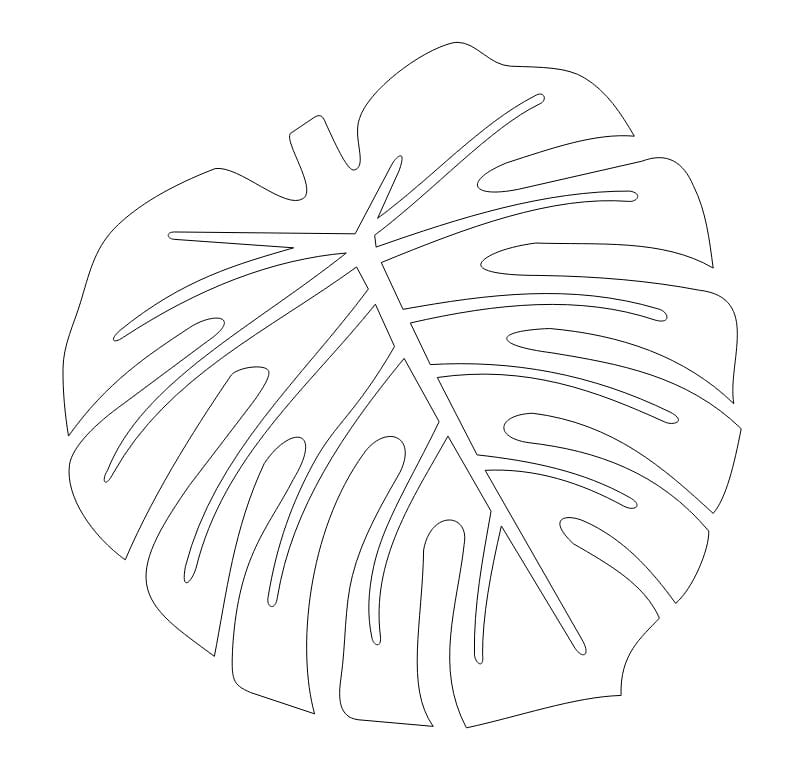 Laser Cut Monstera Leaf Drink Coasters
