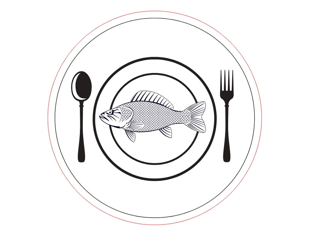 Laser Engraved Wooden Fish Dinner Drink Coaster