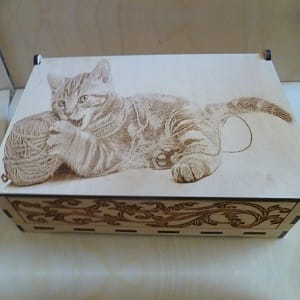 Engraved Cat Wooden Box Laser Cut File