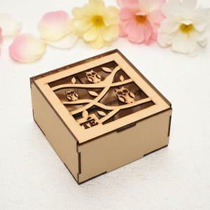 Laser Cut Owl Themed Wooden Box with 4 Compartments
