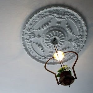 Laser Cut Plant Holder Ceiling Light