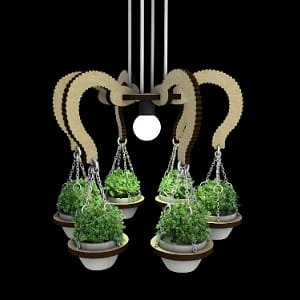 Laser Cut Wooden Planter with Pendant Lamp