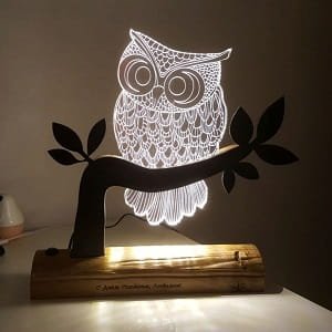 Laser Engraved Owl 3D Illusion LED Lamp