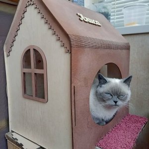 Wooden Indoor Cat House Laser Cut File
